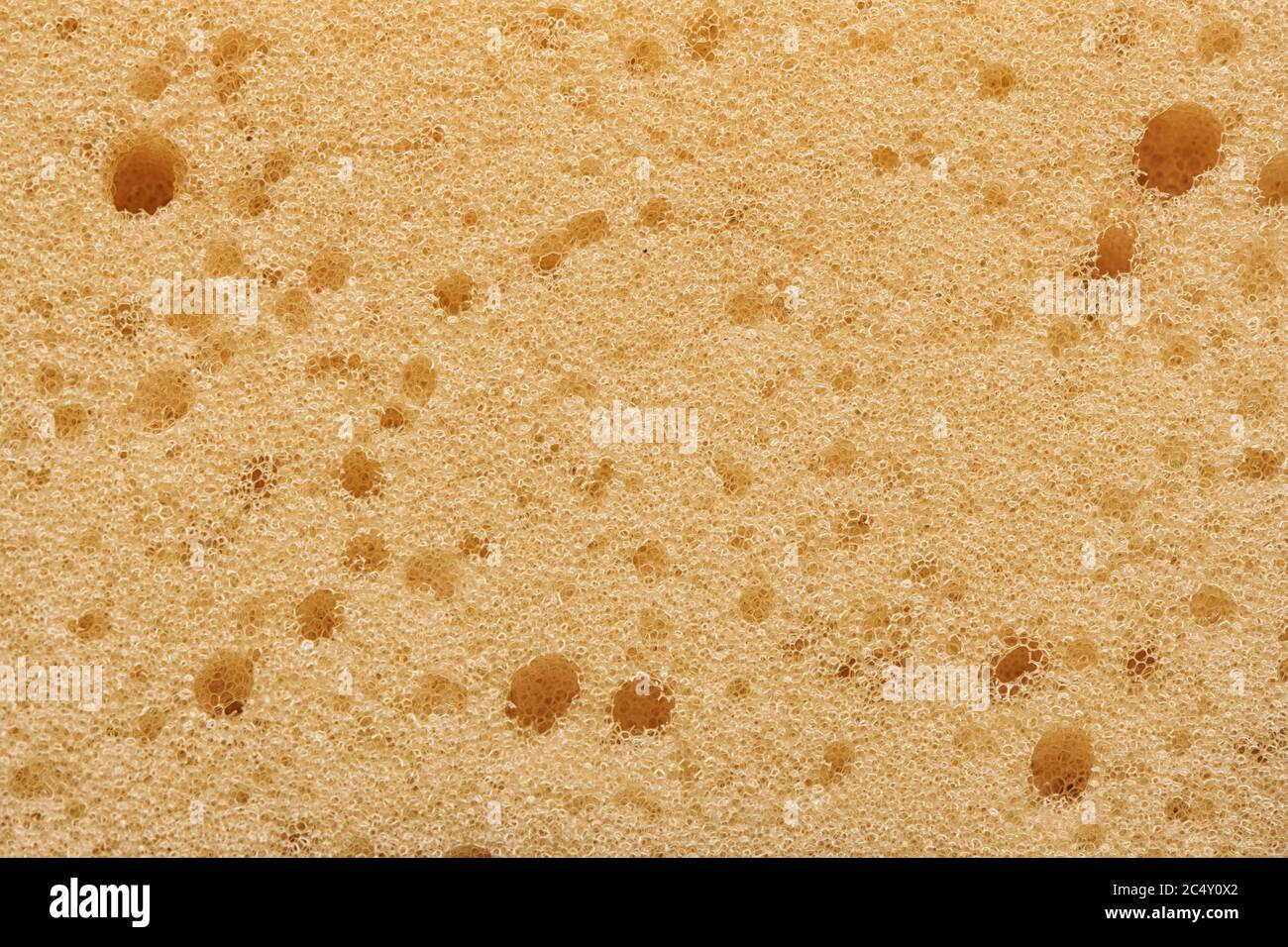 Fond de texture de détail éponge jaune. Banque D'Images