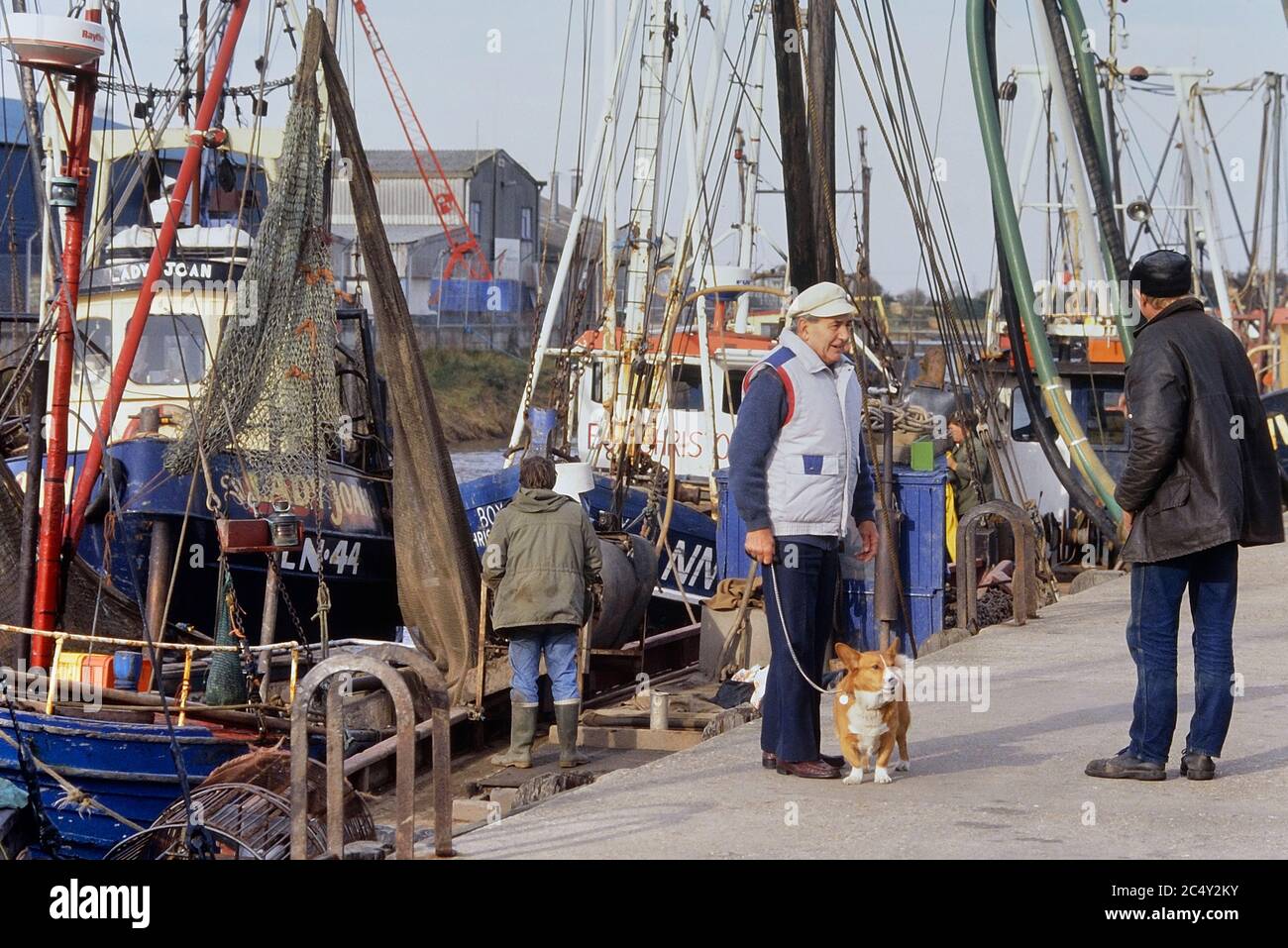 Un homme marchant son chien le long du quai où des bateaux de pêche à la crevette sont à l'entrée de King's Lynn. Norfolk. Angleterre. ROYAUME-UNI. Europe Banque D'Images