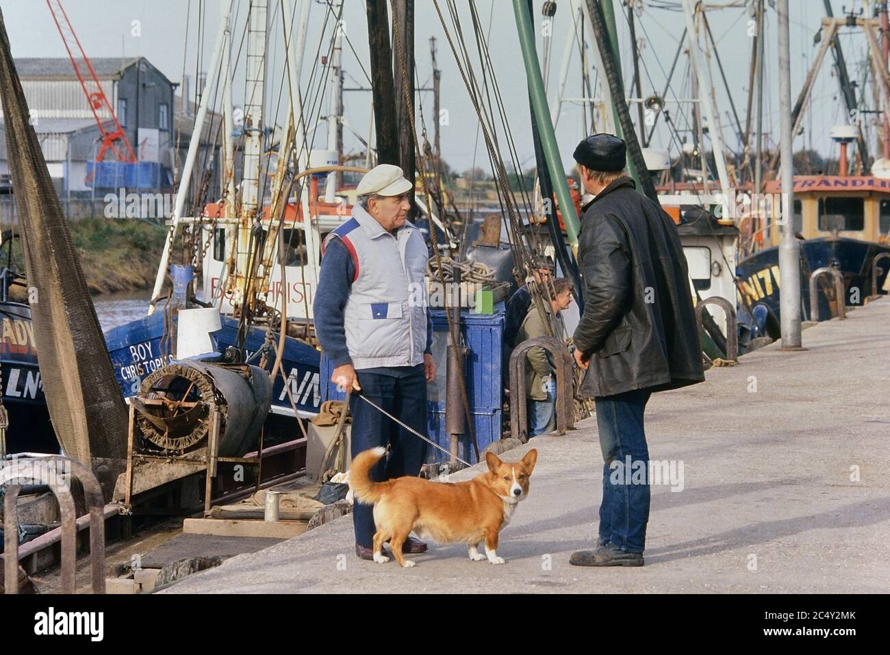 Un homme marchant son chien le long du quai où des bateaux de pêche à la crevette sont à l'entrée de King's Lynn. Norfolk. Angleterre. ROYAUME-UNI. Europe Banque D'Images