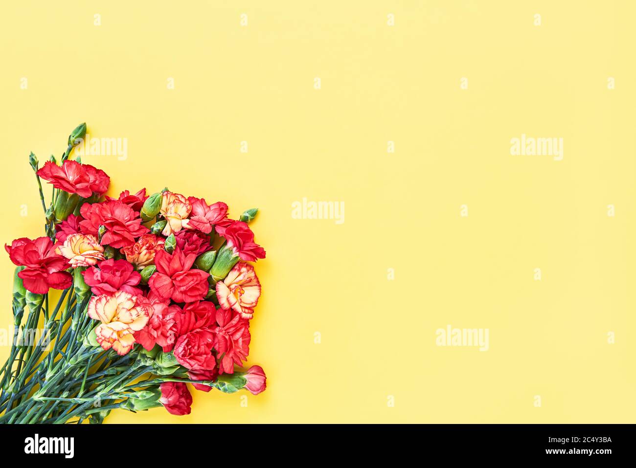 Bouquet de fleurs de Carnation sur fond jaune. Concept de fête des mères, de Saint-Valentin, de célébration d'anniversaire. Copier l'espace pour le texte, vue de dessus Banque D'Images
