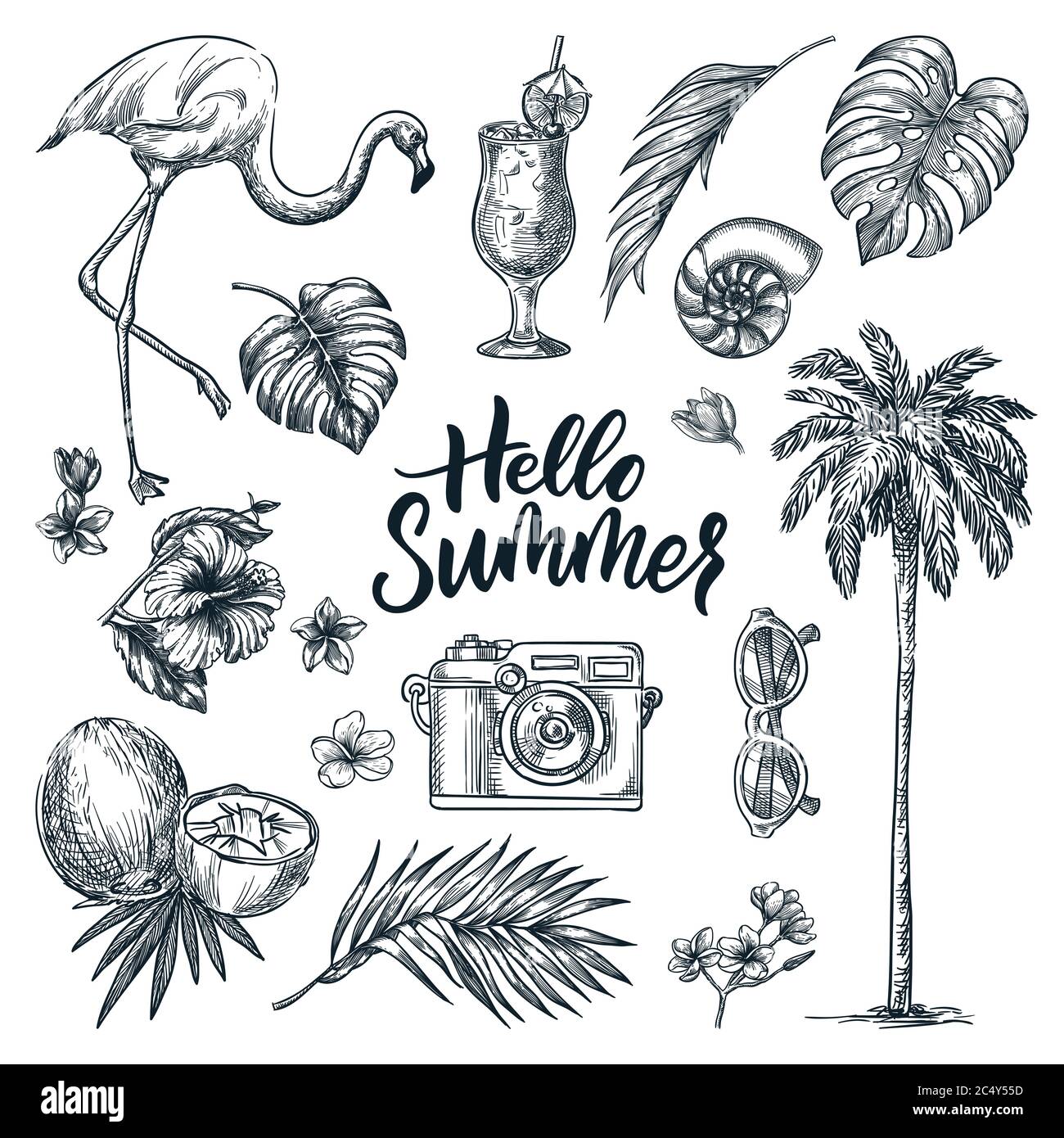 Bonjour été calligraphie lettrage et éléments de design tropical. Vacances, mer vacances de plage icônes dessinées à la main, isolé sur fond blanc. VVecto Illustration de Vecteur