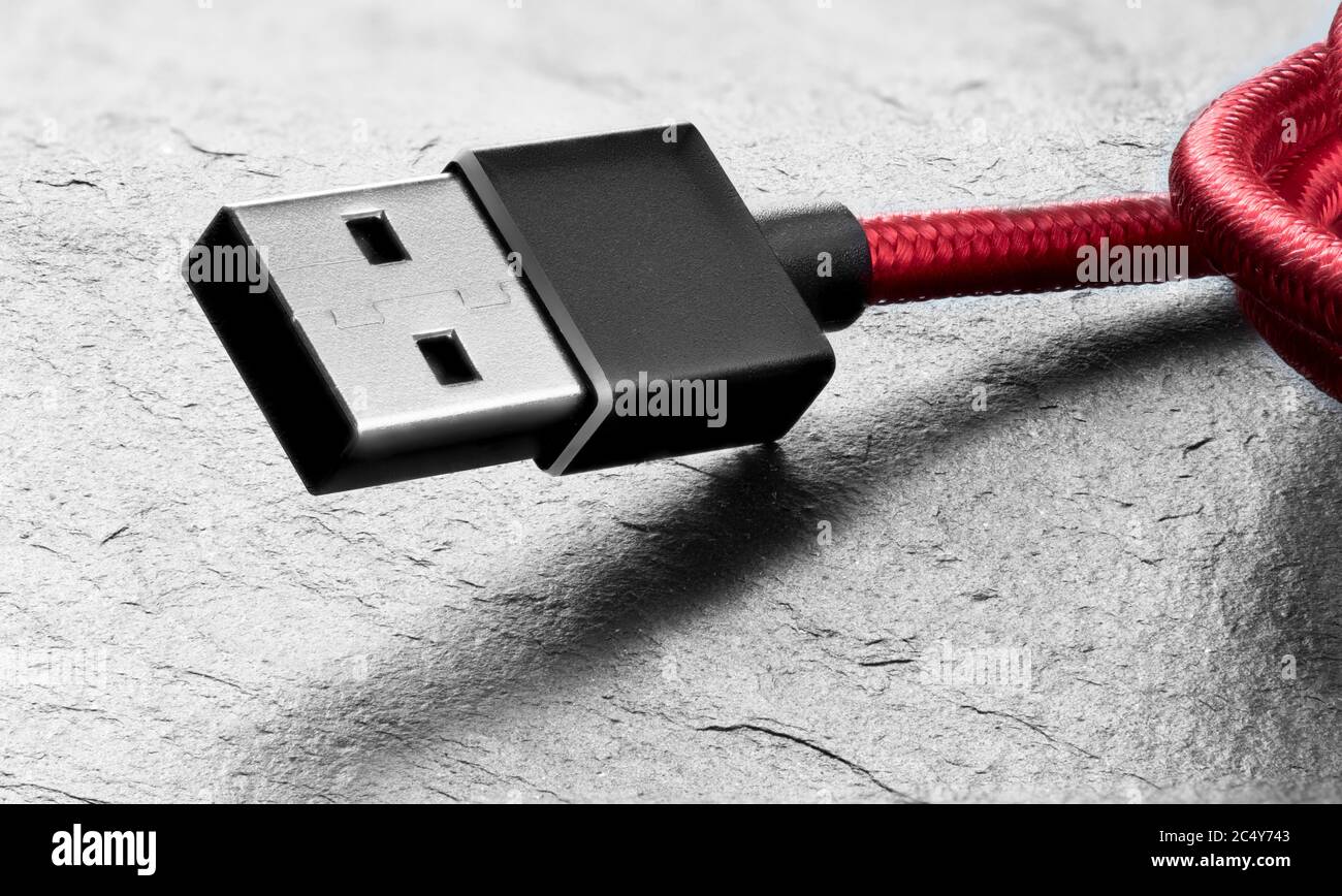 Ordinateur USB type a câble macro prise Banque D'Images