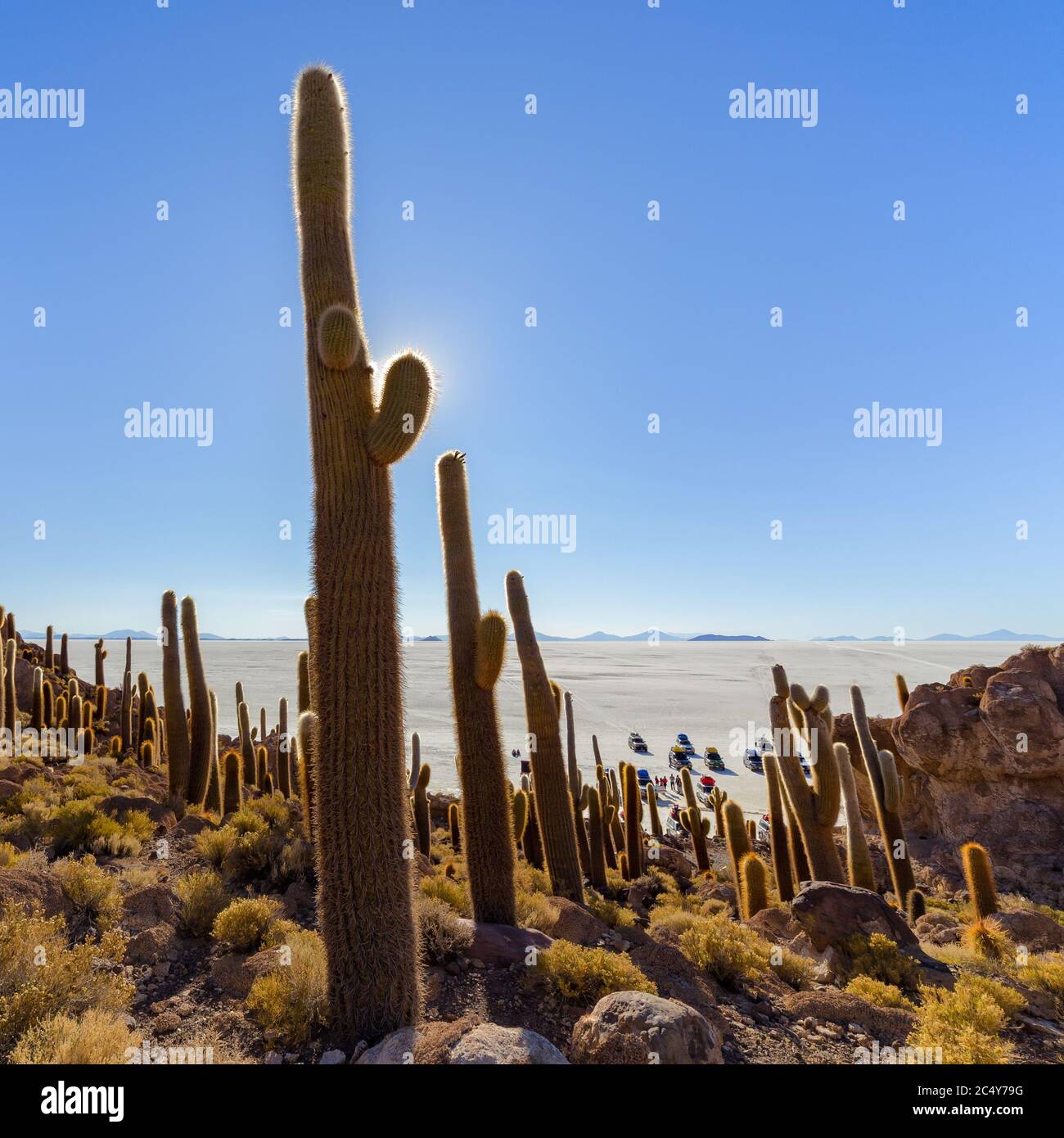 Uyuni, Bolivie - 01 octobre 2018 : visite de l'île d'Incahuasi (île de Cactus) située sur Salar de Uyuni, la plus grande surface de sel au monde, en B Banque D'Images