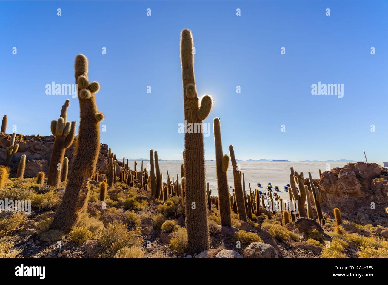Uyuni, Bolivie - 01 octobre 2018 : visite de l'île d'Incahuasi (île de Cactus) située sur Salar de Uyuni, la plus grande surface de sel au monde, en B Banque D'Images