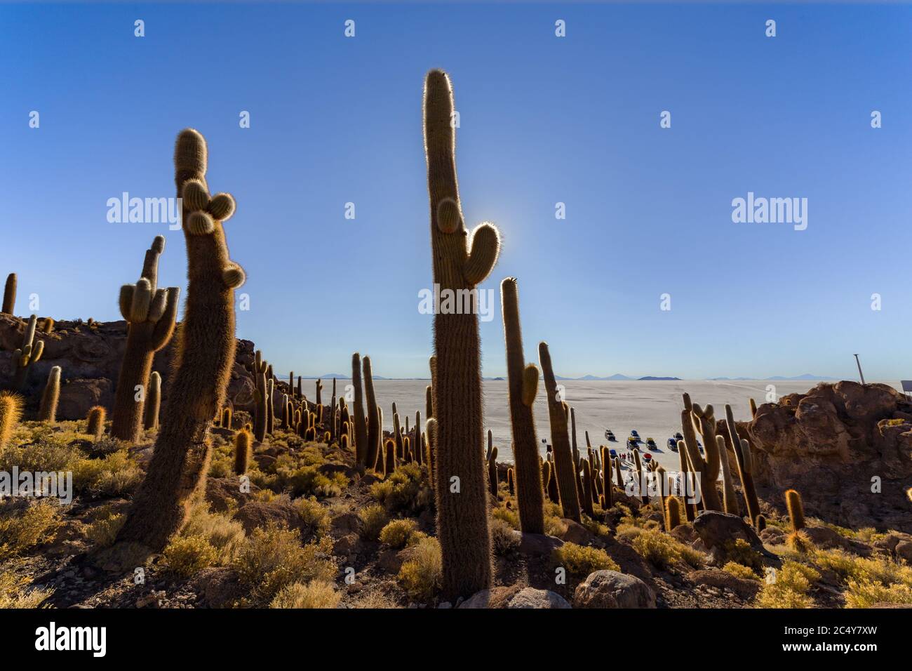 Uyuni, Bolivie - 01 octobre 2018 : visite de l'île d'Incahuasi (île de Cactus) située sur Salar de Uyuni, la plus grande surface de sel au monde, en B Banque D'Images