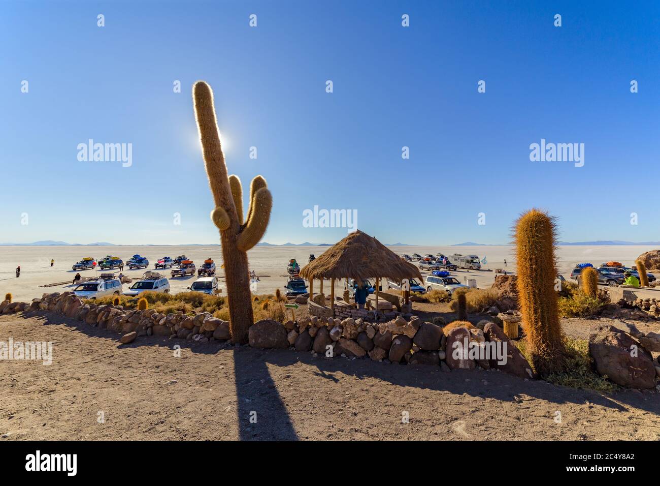 Uyuni, Bolivie - 01 octobre 2018 : visite de l'île d'Incahuasi (île de Cactus) située sur Salar de Uyuni, la plus grande surface de sel au monde, en B Banque D'Images