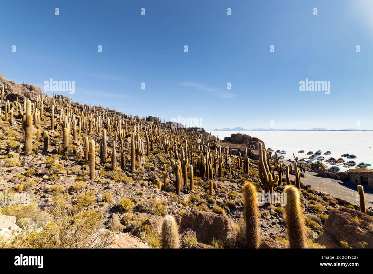 Uyuni, Bolivie - 01 octobre 2018 : visite de l'île d'Incahuasi (île de Cactus) située sur Salar de Uyuni, la plus grande surface de sel au monde, en B Banque D'Images
