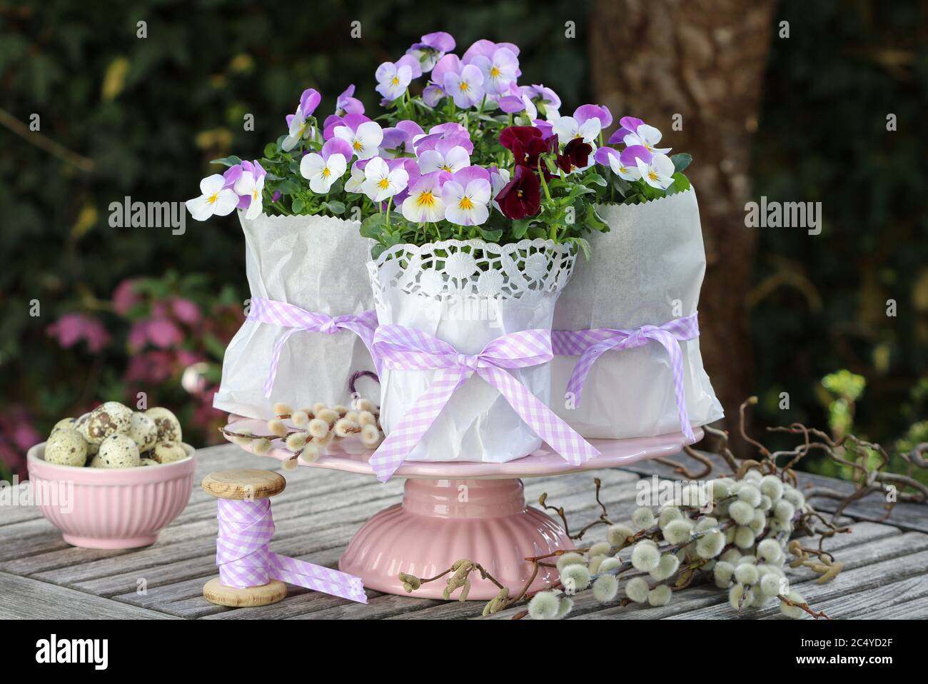Fleurs De Violette En Blanc Et Violet Sur L Assiette A Gateau Comme Decoration De Printemps Photo Stock Alamy Fleurs De Violette En Blanc Et Violet Sur L Assiette A Gateau Comme Decoration De Printemps Photo Stock Alamy