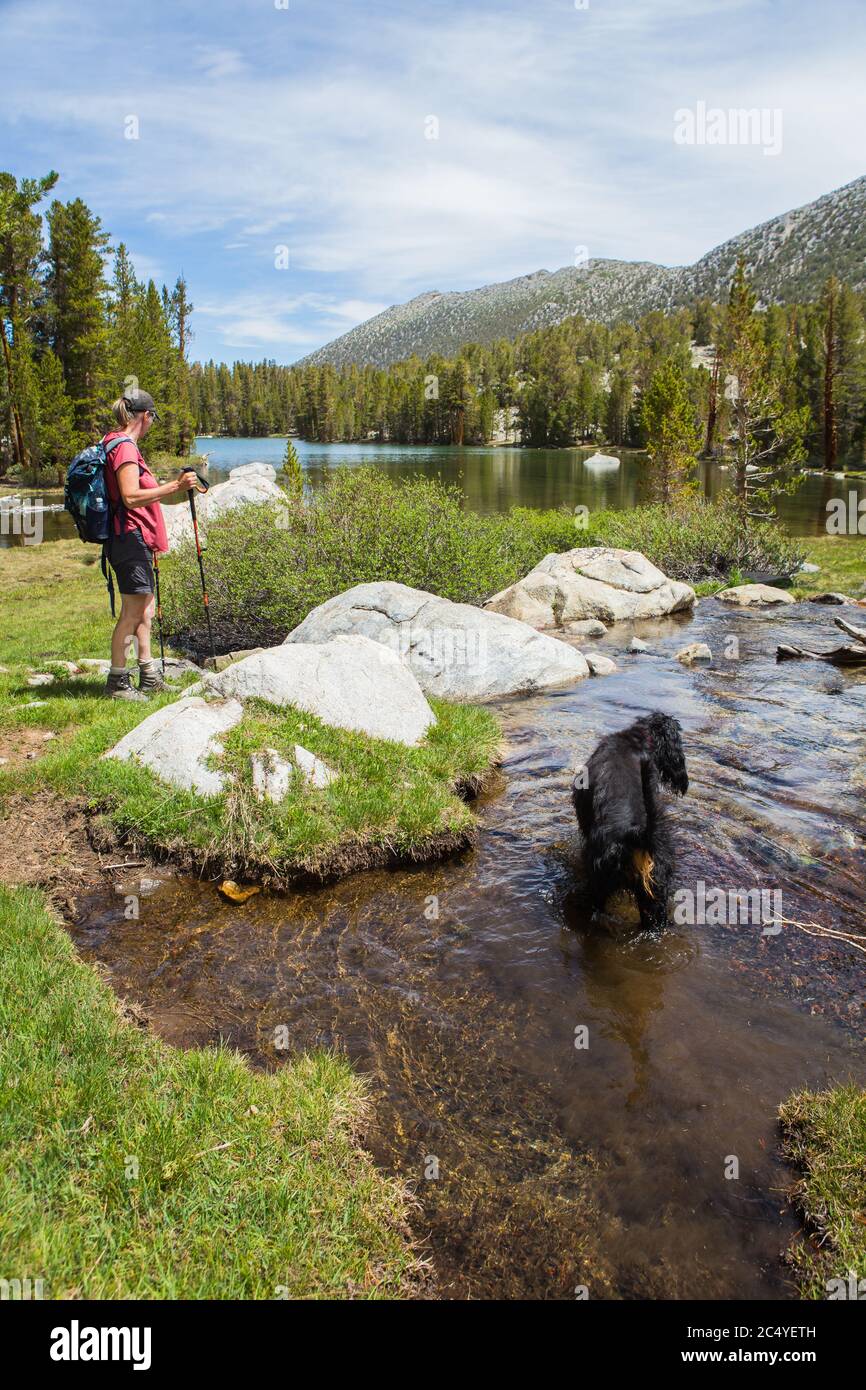 Femme randonnée avec un chien à Dorothy Lake Eastern Sierra Nevada Mountains , Californie ; États-Unis Banque D'Images