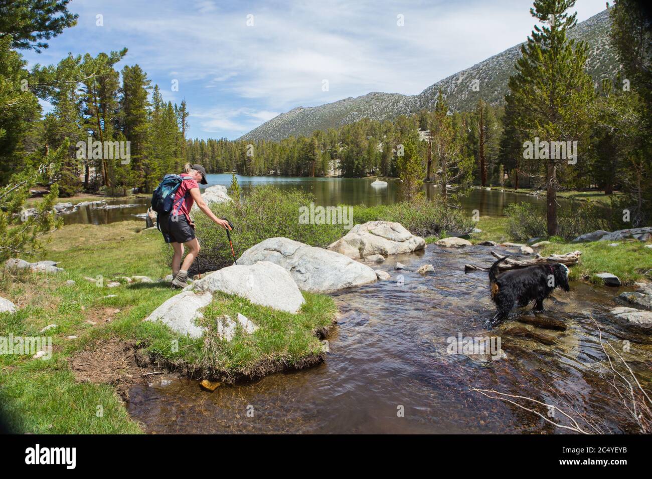 Femme randonnée avec un chien à Dorothy Lake Eastern Sierra Nevada Mountains , Californie ; États-Unis Banque D'Images