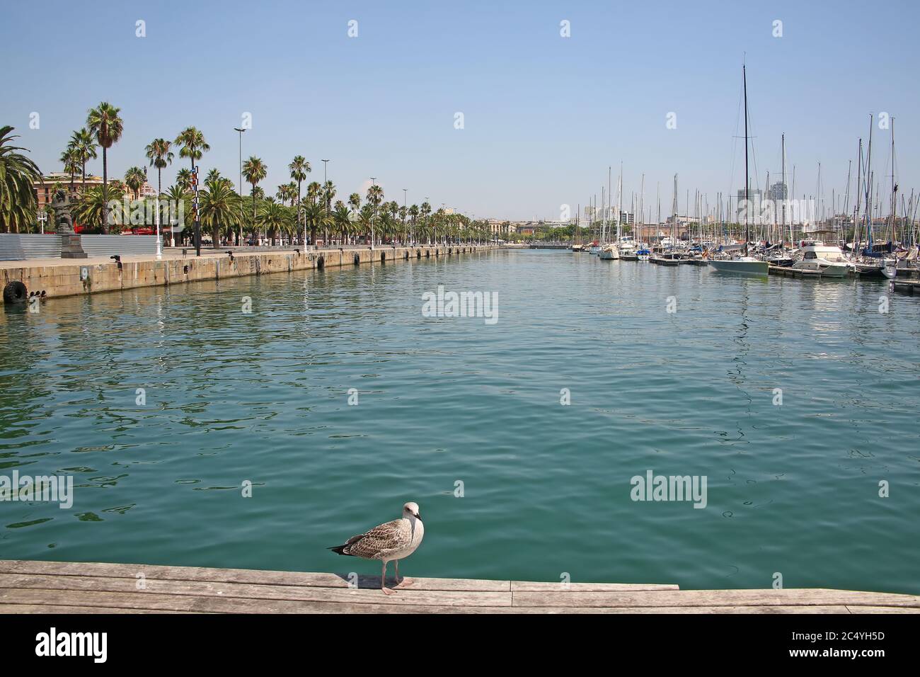 Promenade en bateau le long de la Rambla de Mar, à Port Vell qui est un port de front de mer et une partie du port de Barcelone, Catalogne, Espagne. Banque D'Images