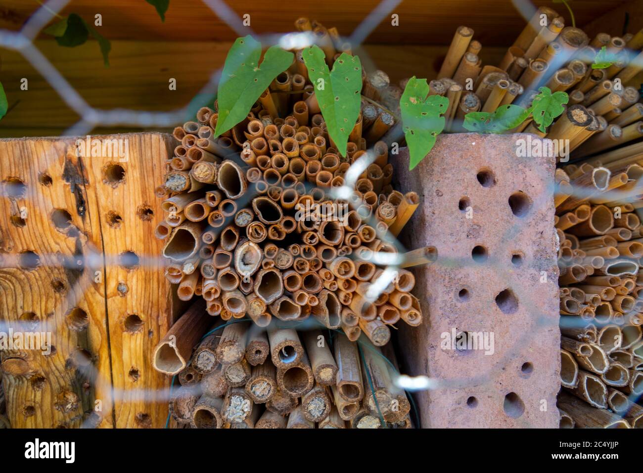 Hôtel d'insectes, aides à la nidification et à l'hivernage créées artificiellement pour insectes, en matériaux naturels, mailles métalliques pour la protection contre les oiseaux, Banque D'Images