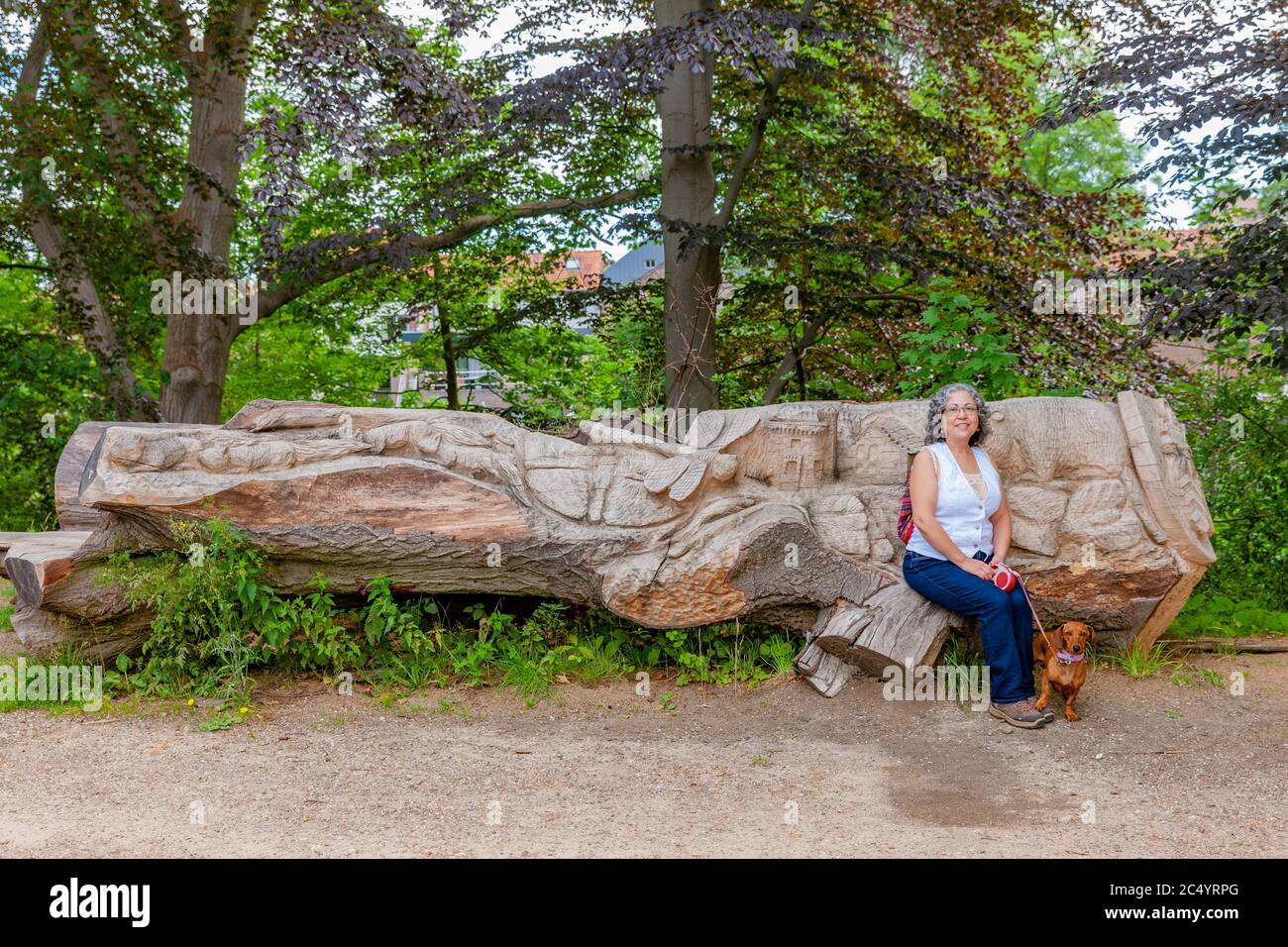 Stein, Limbourg Sud / pays-Bas. 21 juin 2020. Une mexicaine mûre assise sur une bûche sculptée de formes différentes son chien à côté d'elle Banque D'Images