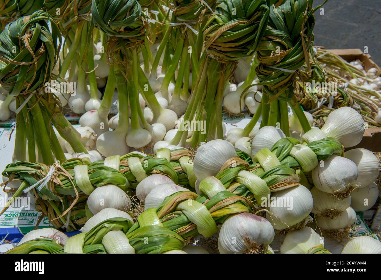 Ail à vendre sur le marché extérieur de Catane sur l'île de Sicile, Italie. Banque D'Images