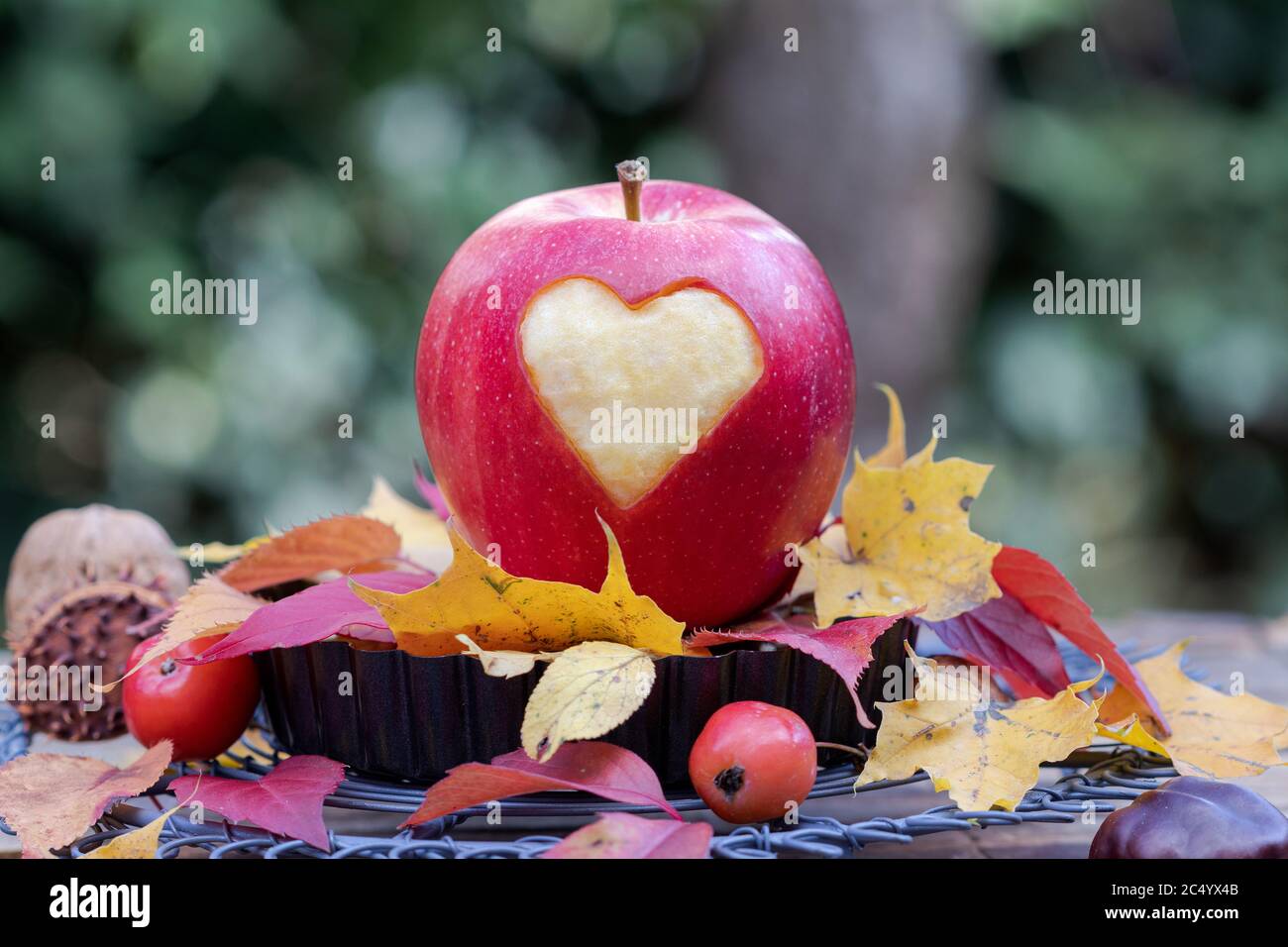 décoration d'automne avec pomme et coeur Banque D'Images