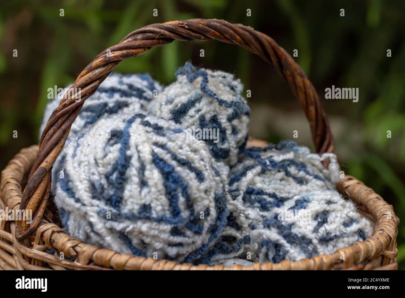 Gros plan de boules de laine blanche-bleue moelleuses dans un panier sur fond naturel. Fils pour tricoter. Articles pour les travaux d'aiguille féminins. Banque D'Images