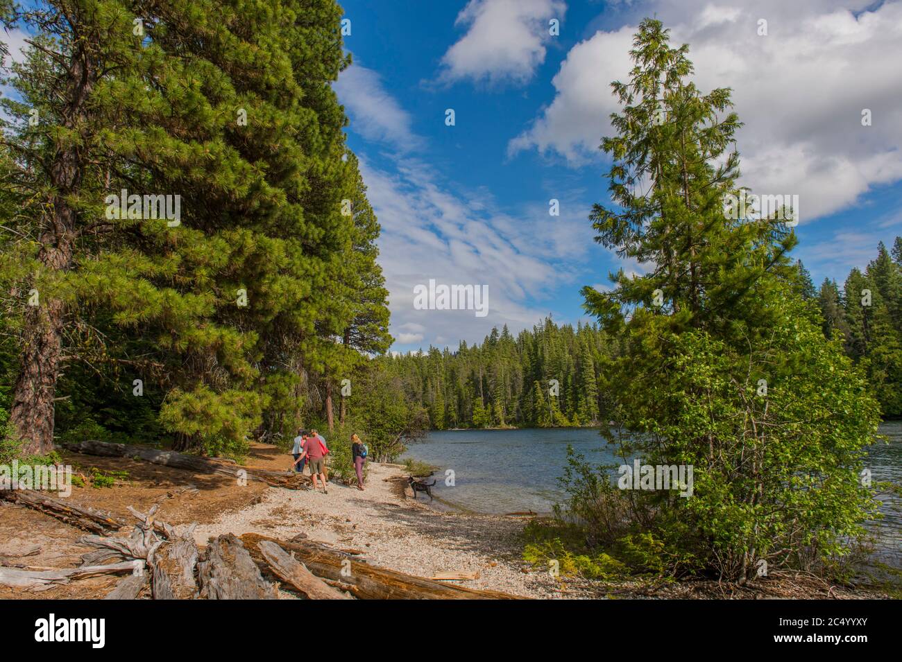 Les gens qui se trouvent sur une plage au lac Wenatchee dans le parc national du lac Wenatchee, dans l'est de l'État de Washington, aux États-Unis. Banque D'Images
