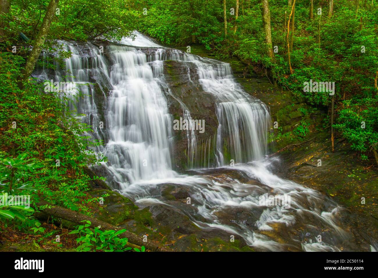 Merry Falls dans la forêt récréative de DuPont, Caroline du Nord. Banque D'Images
