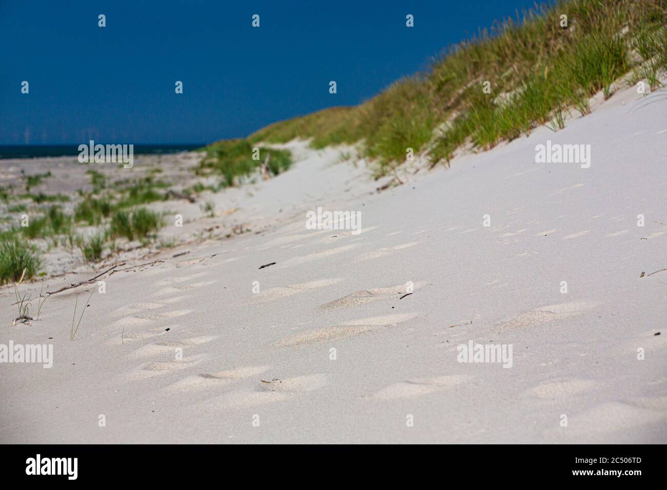 Mer Baltique, Allemagne, Mecklembourg-Poméranie occidentale, Darß, Prerow, bord de mer Banque D'Images