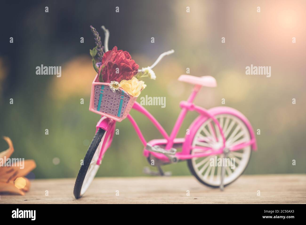 Vélo rose vintage avec panier et fleurs penchées contre la clôture en bois au jardin. Banque D'Images