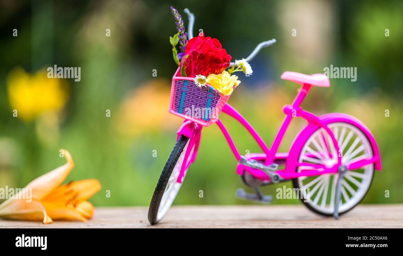 V lo rose vintage avec panier et fleurs pench es contre la cl ture