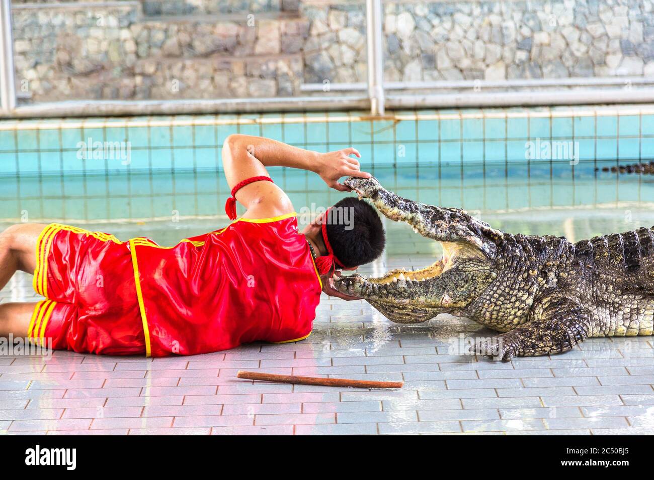 Spectacle de crocodiles à Pattaya, Thaïlande en été Banque D'Images