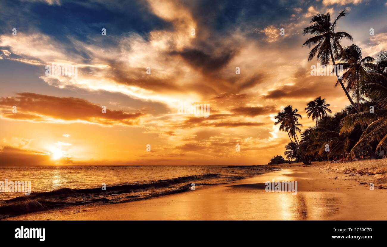 Coucher de soleil sur la plage. Plage paradisiaque. Paradis tropical, sable  blanc, plage, palmiers et eau claire Photo Stock - Alamy
