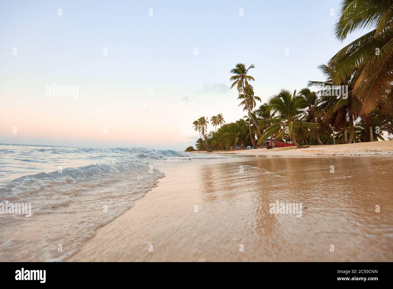 Plage paradisiaque. Paradis tropical, sable blanc, plage, palmiers et eau claire. Banque D'Images