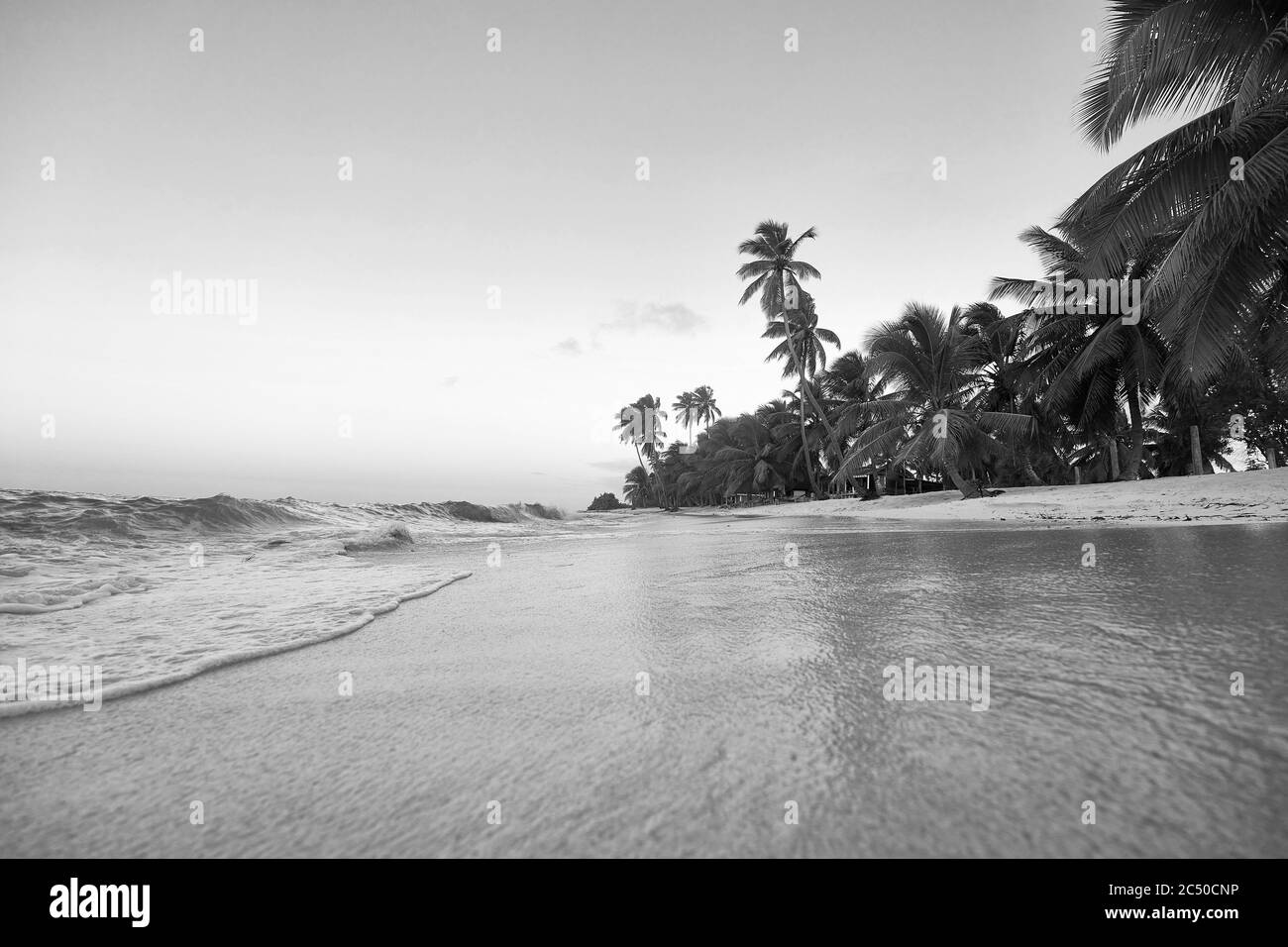 Punta cana resort Banque d images noir et blanc Alamy