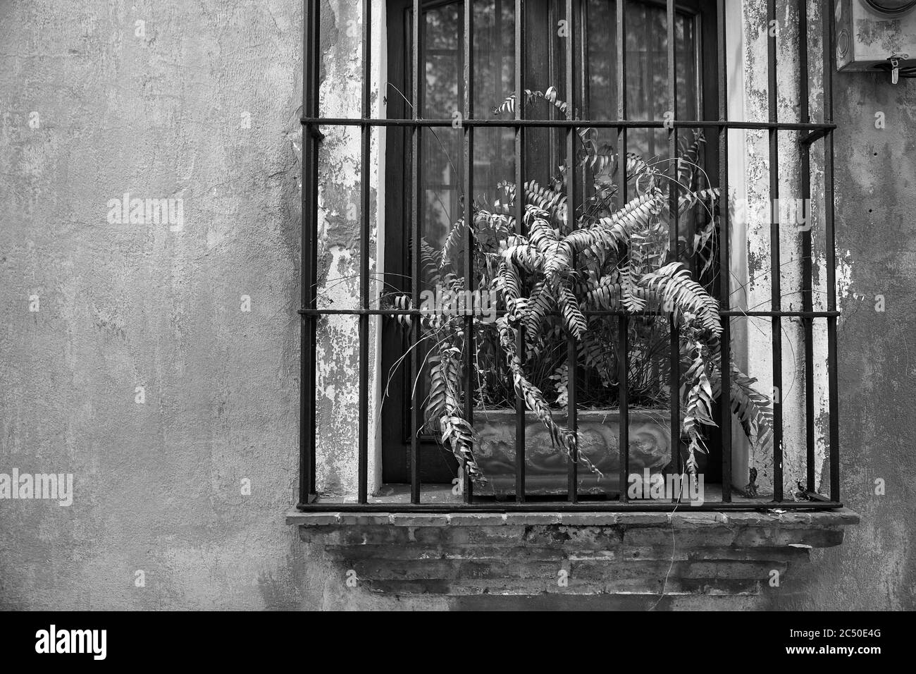 Fleur derrière les barres. Détail de l'architecture coloniale. Style colonial typique à Saint-Domingue, République dominicaine Banque D'Images