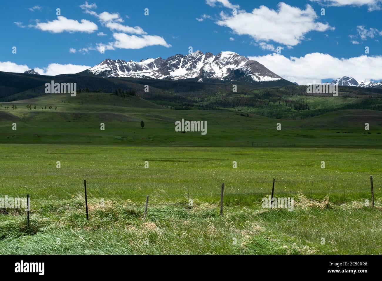 Pâturage sous la chaîne de Gore dans la vallée de la rivière bleue du comté de Summit, Colorado Banque D'Images