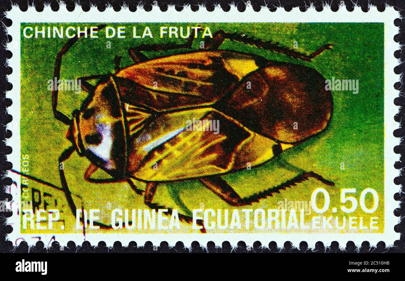 GUINÉE ÉQUATORIALE - VERS 1978: Un timbre imprimé en Guinée équatoriale à partir du numéro des insectes montre Heteroptera, vers 1978. Banque D'Images