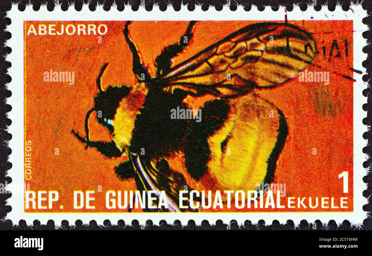 GUINÉE ÉQUATORIALE - VERS 1978: Un timbre imprimé en Guinée équatoriale à partir du numéro des insectes montre Bombus, vers 1978. Banque D'Images