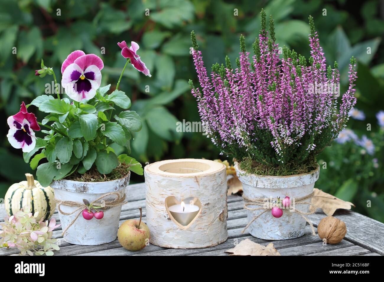 décoration rustique d'automne avec fleurs roses dans des pots en écorce de bouleau et lanterne de table Banque D'Images