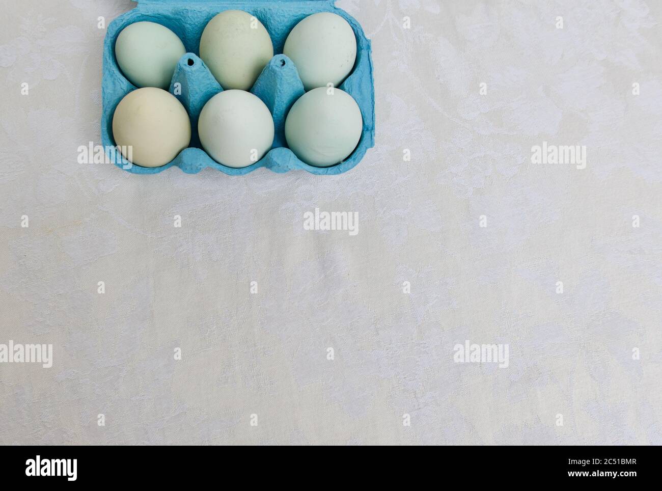 Six œufs de poules bleu tendre dans un carton bleu sur fond blanc Banque D'Images