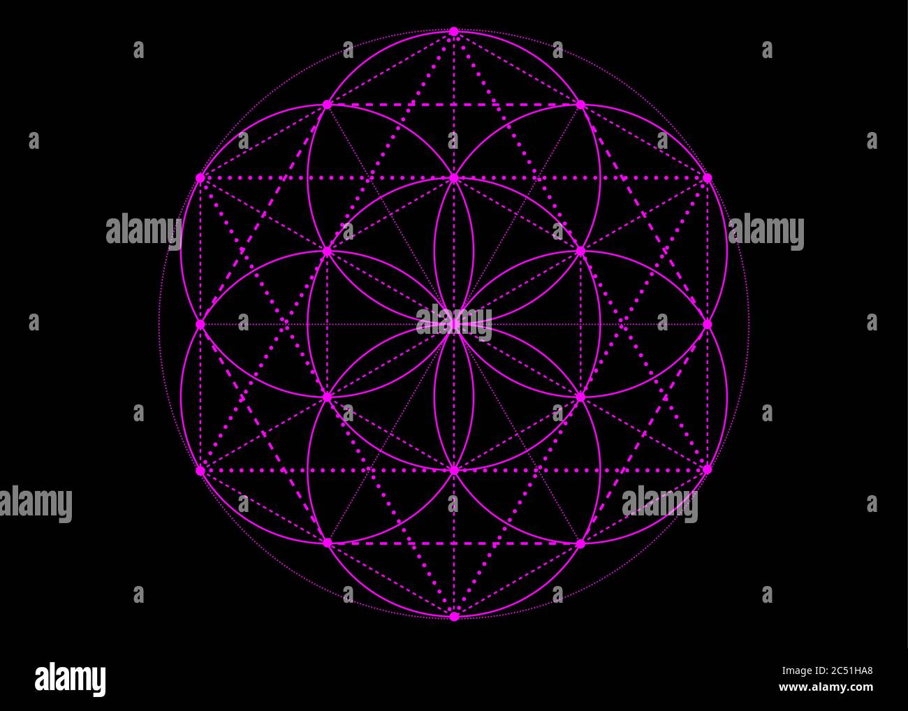 Symbole de la graine de vie géométrie sacrée. Mandala mystique rose d'alchimie ésotérique, Fleur de vie. Effet vectoriel violet fluo isolé sur fond noir Illustration de Vecteur