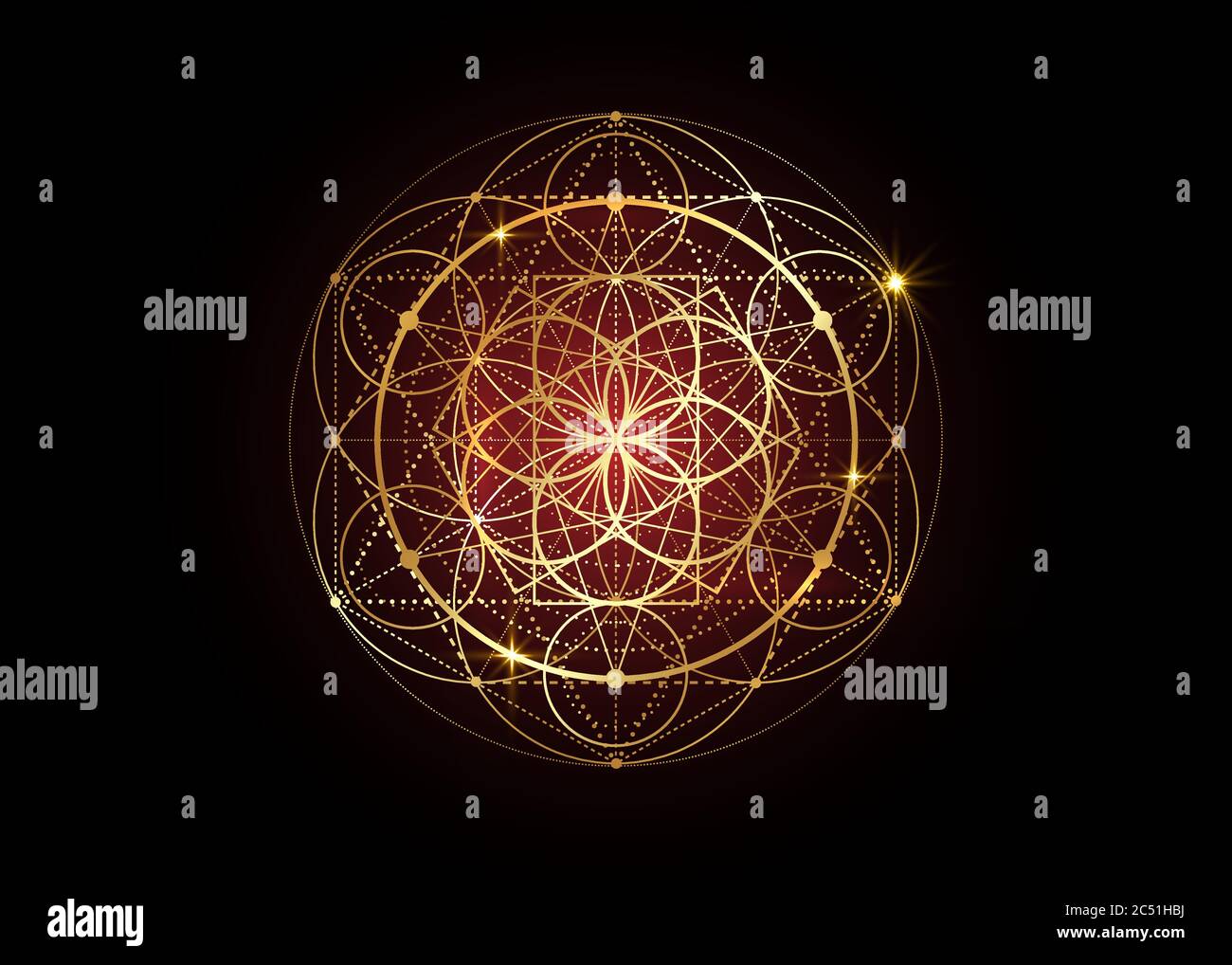 Symbole de la graine de vie géométrie sacrée. Mandala mystique géométrique de la fleur ésotérique alchimie de la vie. Design de luxe or, amulette méditative vecteur divin Illustration de Vecteur