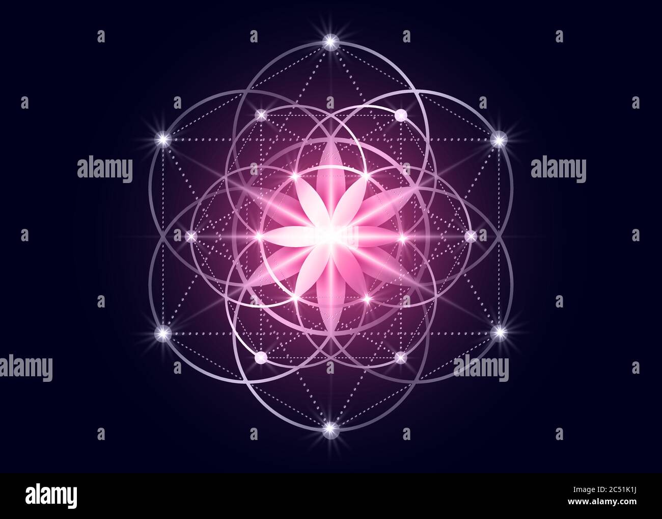 Symbole de la graine de vie géométrie sacrée. Mandala mystique géométrique de la fleur ésotérique alchimie de la vie. Motif rose or de luxe, vecteur divin méditatif Illustration de Vecteur