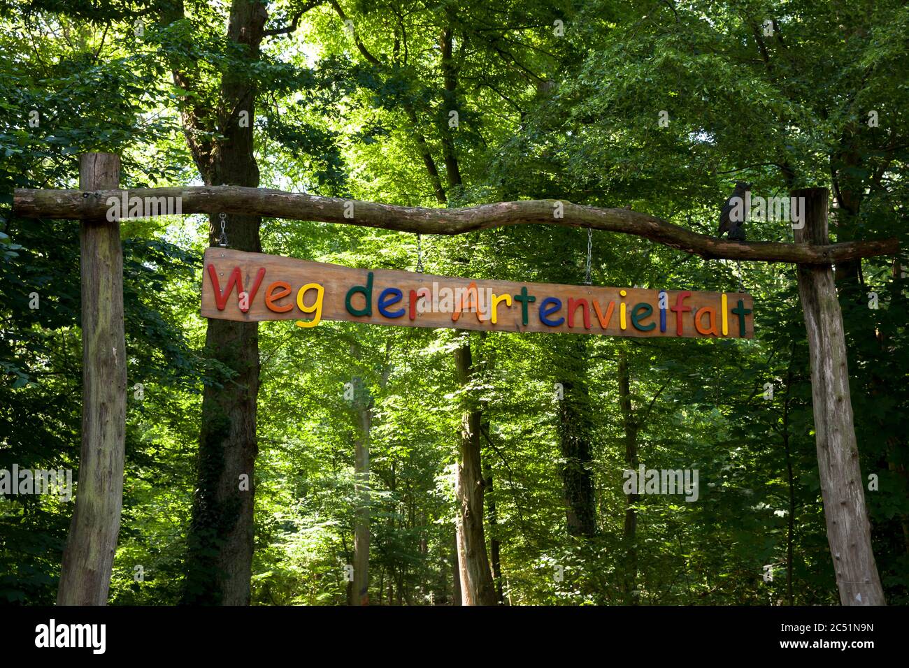 Entrée sur la voie de la biodiversité dans la région de Waldau, dans le Kottenforst, Bonn, Rhénanie-du-Nord-Westphalie, Allemagne. Eingang zum Weg der Artenvielfalt in der Banque D'Images