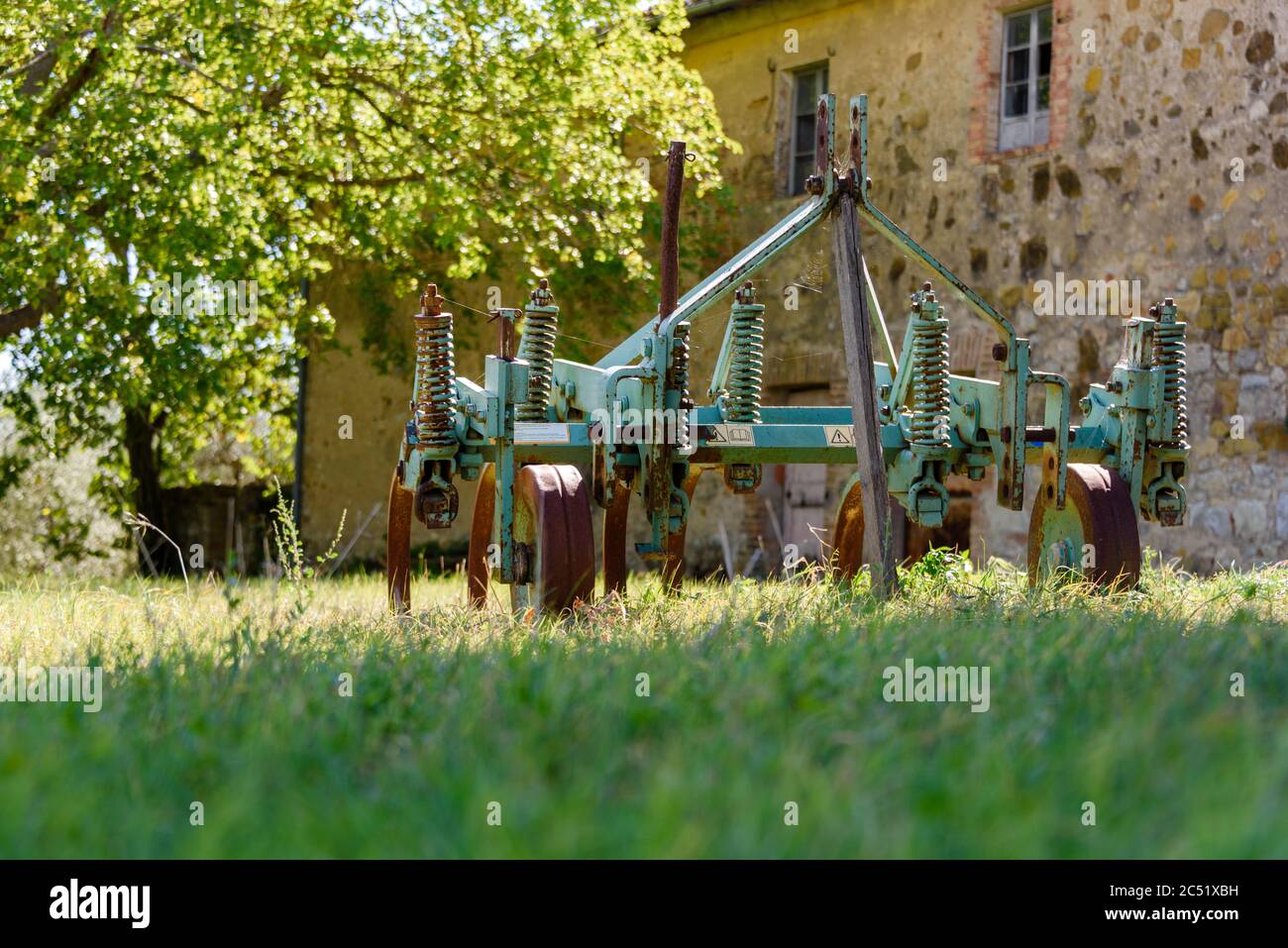 Auf dem Gelände eines verlassenen Bauernhofes in der Toskana mit altem Baumbest Banque D'Images