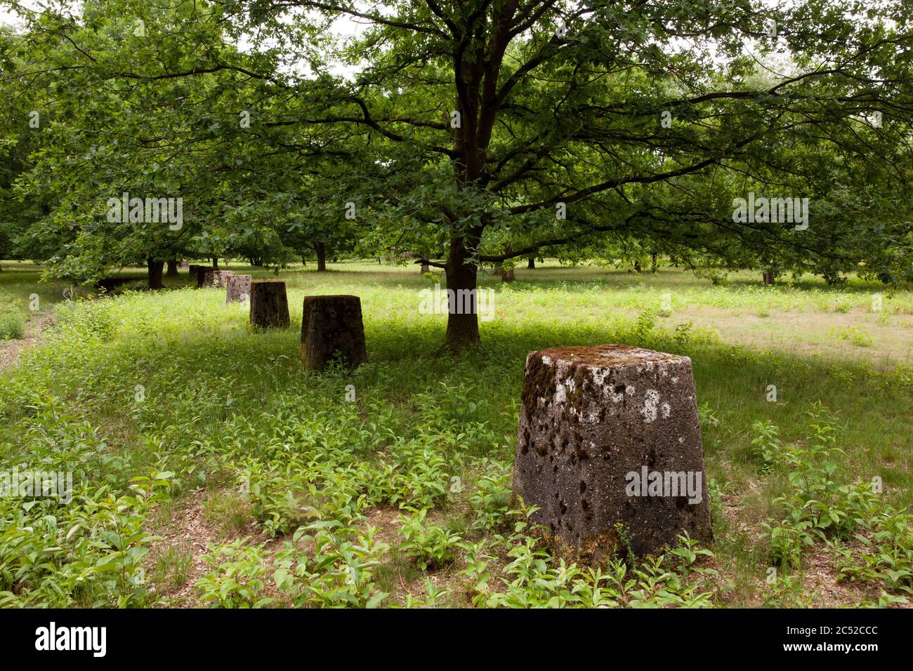 Barrière anti-char dans la lande de Wahner, Troisdorf-Altenrath, Rhénanie-du-Nord-Westphalie, Allemagne. Panzersperren in der Wahner Heide, Troisdorf-Altenrath, Banque D'Images