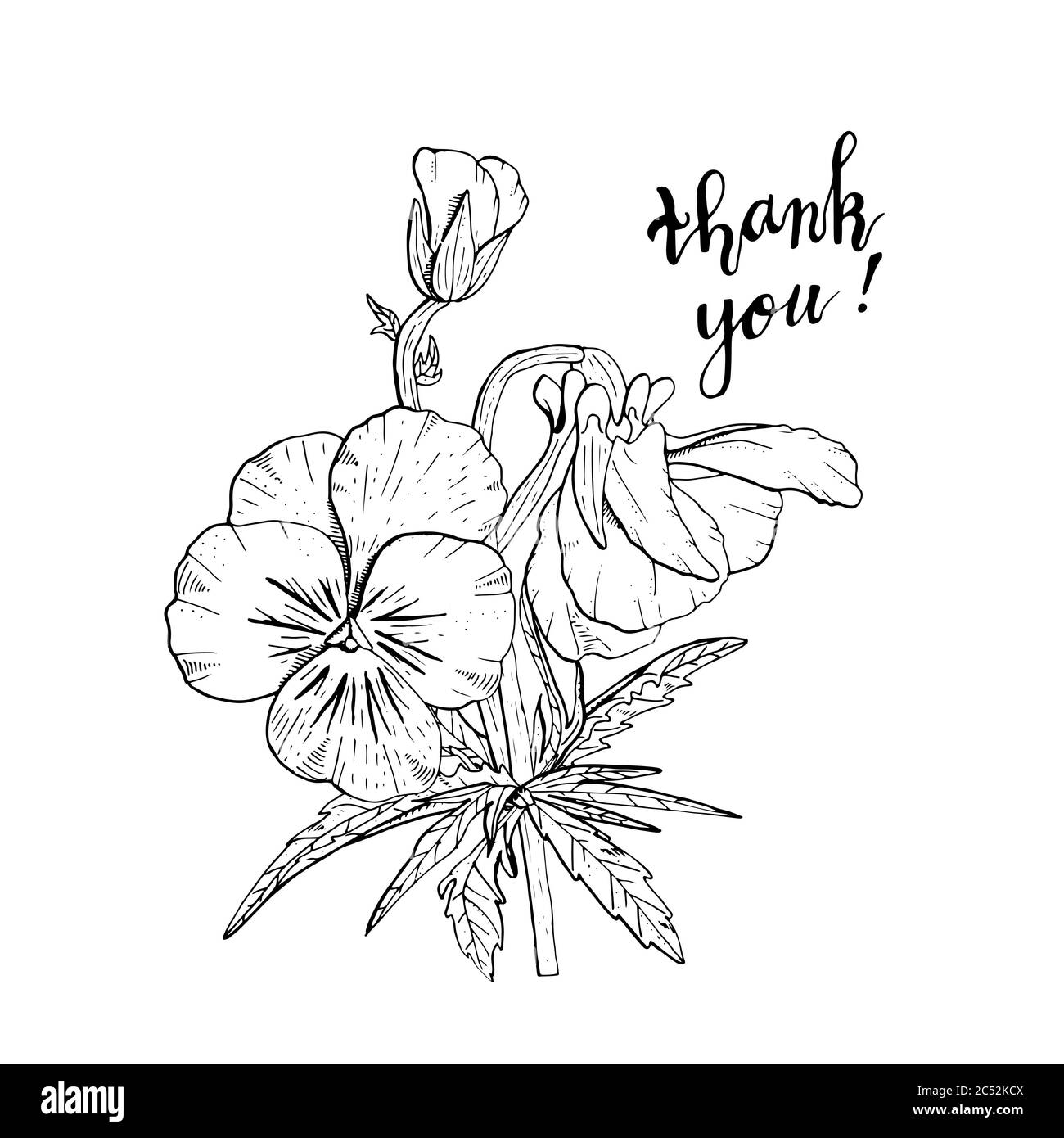 Cliquez sur des fleurs de pansy dessinées à la main. Élément à motif fleuri. Isolé sur fond blanc. Vecteur Illustration de Vecteur