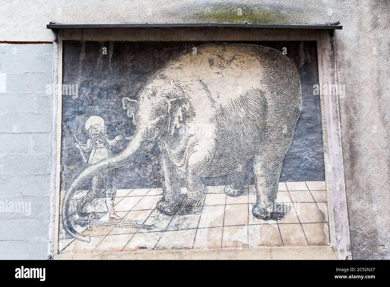 Sgraffito - l'éléphant de Rembrandt à Trzebiatów, Voïvodeship de Poméranie occidentale, Pologne Banque D'Images