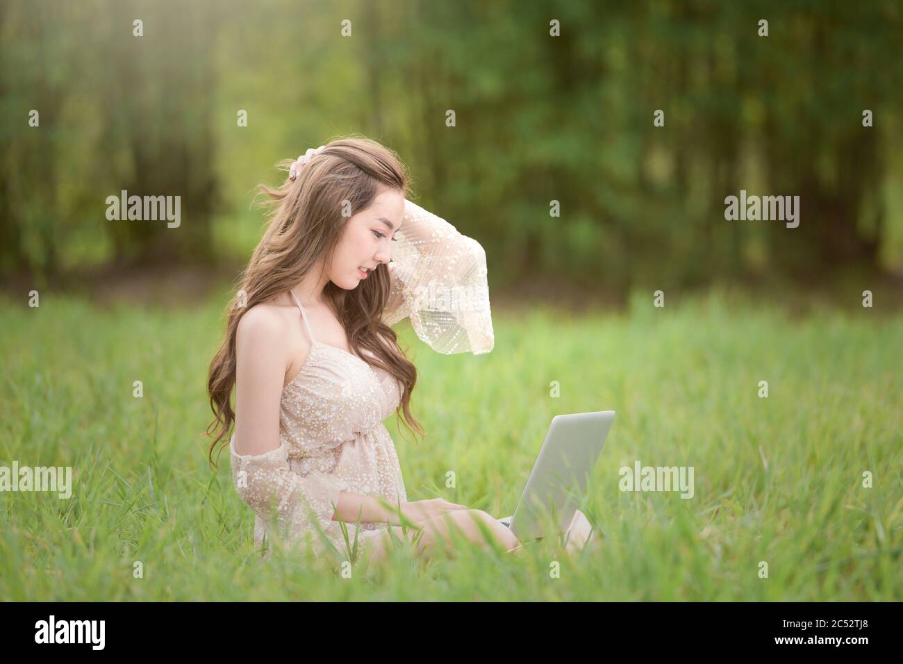 Femme assise dans un champ travaillant sur son ordinateur portable, Thaïlande Banque D'Images