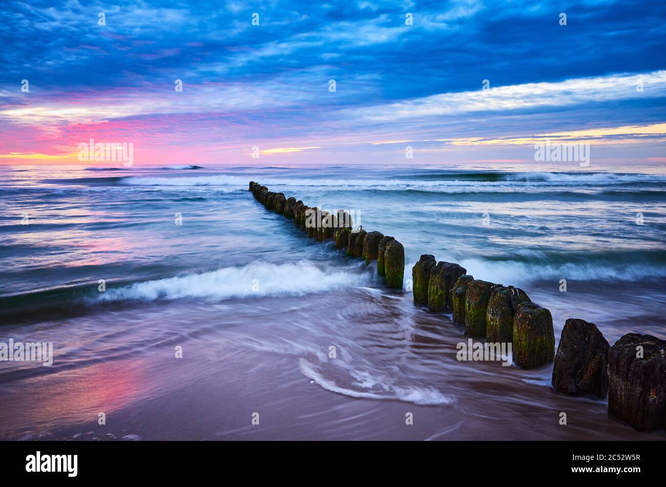 Vieux brise-lames en bois au coucher du soleil violet, côte de la mer Baltique à Mrzezyno, Pologne. Banque D'Images
