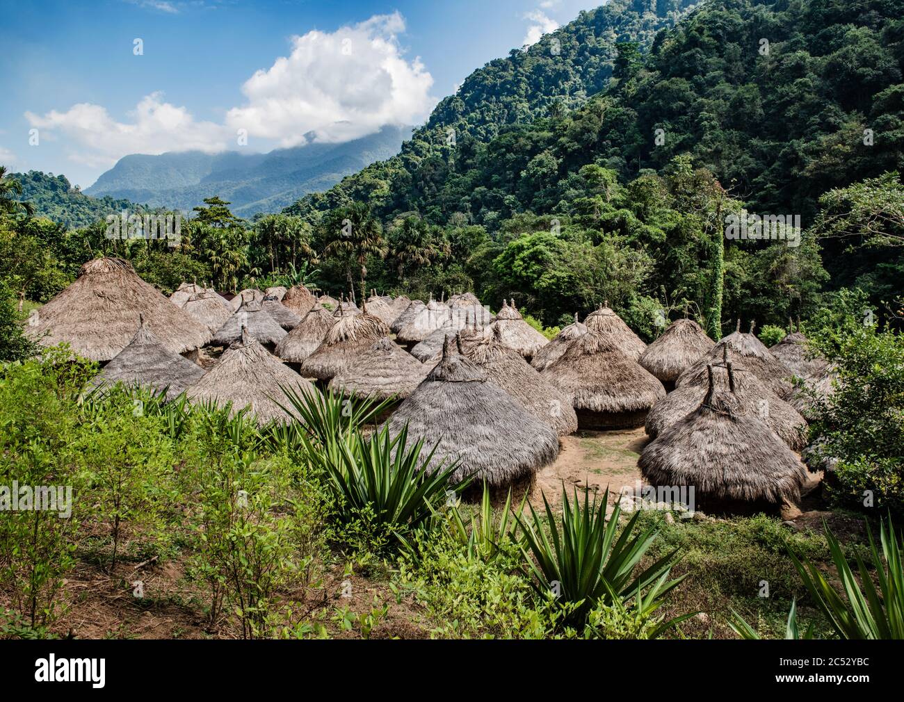 Vue sur les huttes de la Sierra Nevada de Santa Marta, Colombie, Amérique du Sud Banque D'Images