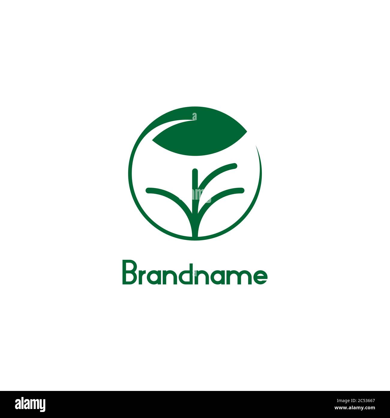 Plante arbre avec feuille circulaire, illustration vectorielle des logos environnementaux et agricoles. Illustration de Vecteur