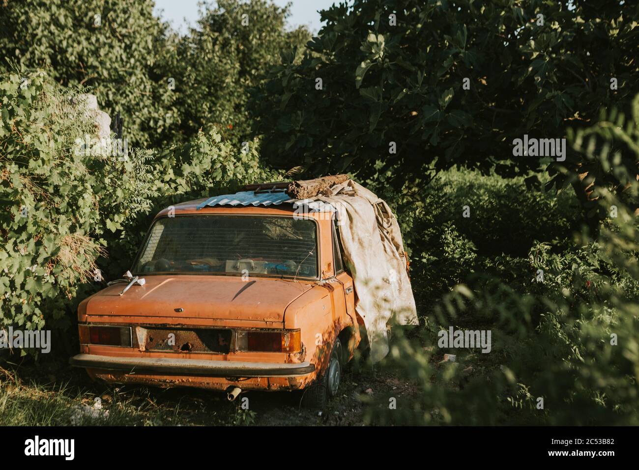Une vieille épave de voiture rouillée d'orange abandonnée dans le jardin vert avec de vieux trucs autour Banque D'Images