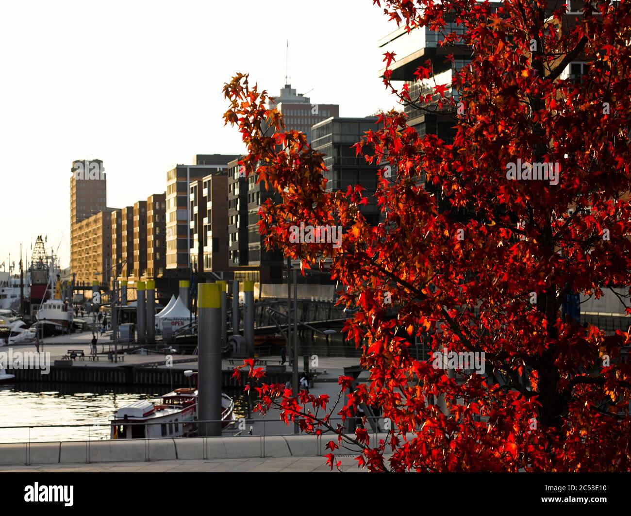 Le port est aux couleurs des terrasses de Magellan à HafenCity Hambourg. Banque D'Images