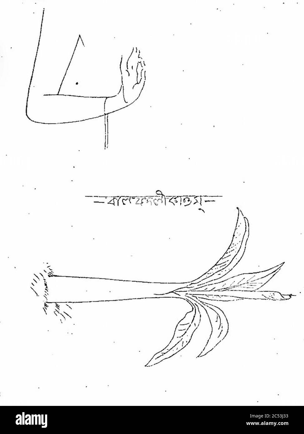 Indian murti (statue) proportions posture forme conception 08. Banque D'Images